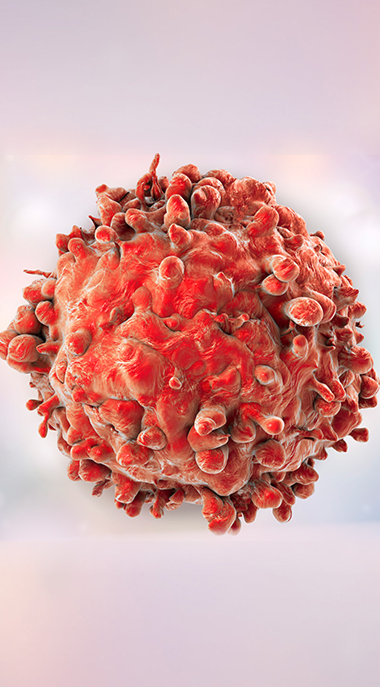 Blood cell